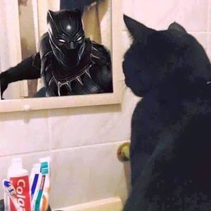 Meet your Posher, Breianna